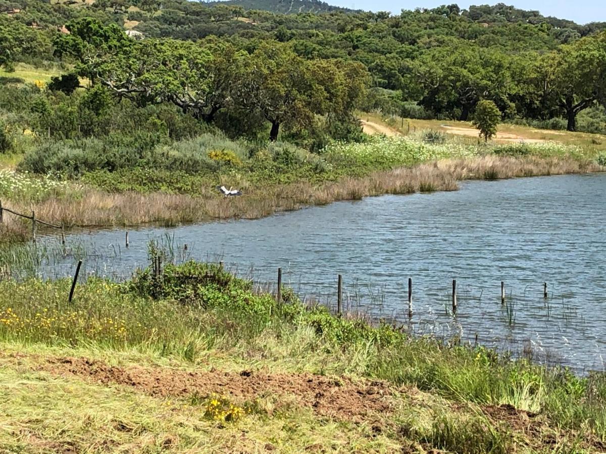 רדונדו Fontes - A Essencia Do Alentejo Com Lago Privado מראה חיצוני תמונה