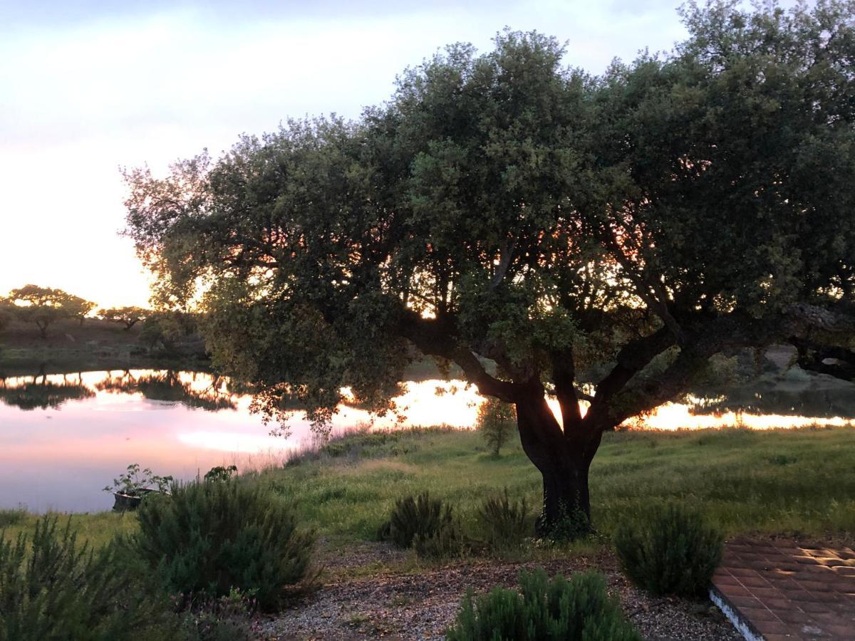 רדונדו Fontes - A Essencia Do Alentejo Com Lago Privado מראה חיצוני תמונה